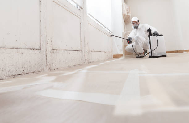 Black mold remediation team in Nicktown